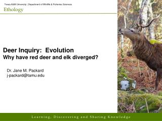 Deer Inquiry: Evolution