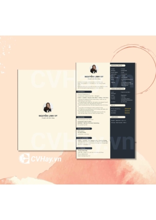 CVHay_Chuyen vien Sales