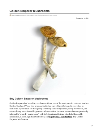 Golden Emperor Mushrooms