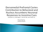 Dorsomedial Prefrontal Cortex Contribution to Behavioral and Nucleus Accumbens Neuronal Responses to Incentive Cues