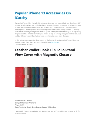 Popular iPhone 13 Accessories On iCatchy