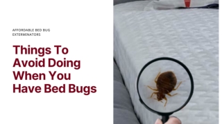 Things To Avoid Doing When You Have Bed Bugs