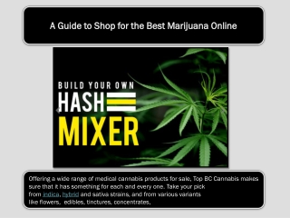 A Guide to Shop for the Best Marijuana Online