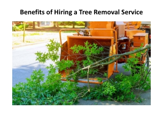 Benefits of Hiring a Tree Removal Service