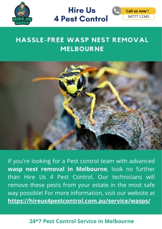 Hassle-Free Wasp Nest Removal Melbourne