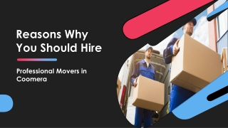 Reasons Why You Should Hire Professional Movers in Coomera