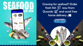 Buy Fresh Seafood Fish