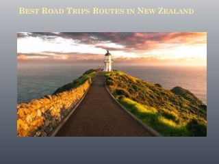 Best Road Trips Routes in New Zealand