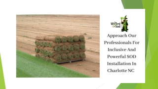 Approach Our Professionals For Inclusive And Powerful SOD Installation In Charlotte NC