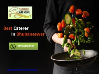 Best Caterer in Bhubaneswar