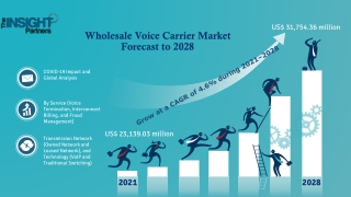 Wholesale Voice Carrier Market Grow At A Healthy CAGR Of 4.6% by 2027: TIP