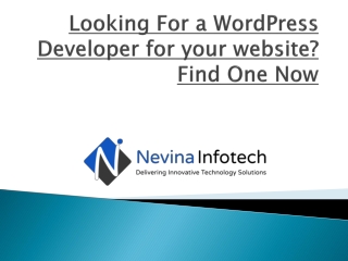 Looking For a WordPress developer for your website? Find One Now