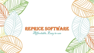 Reprice software