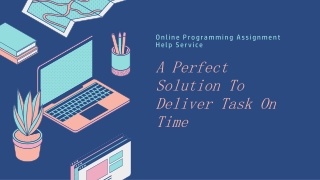 Online Programming Assignment Help Service by Expert