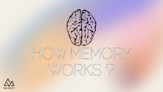 How MEMORY WORKS-converted