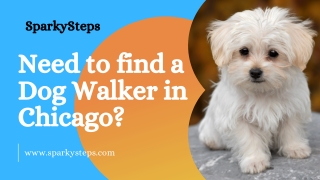 Need to find a Dog Walker in Chicago