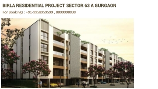 Birla Navya Sec 63 A 3 bhk with basement price, Birla Navya Gurgaon 4 bhk With t