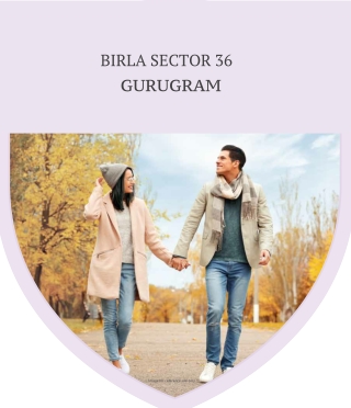 Birla Estates Sector 36 Gurugram Brochure Download