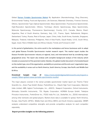 Raman Portable Spectrometer Market