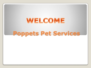 Get the best Pet Feeding in Buckhurst Hill