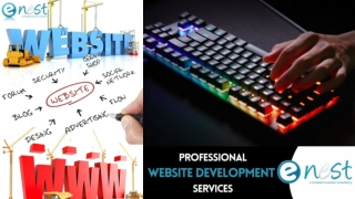 Website Designing Services in Delhi
