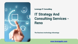 IT Strategy And Consulting Services - Reno