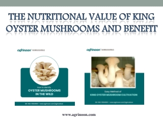 The Nutritional Value of King Oyster Mushrooms and Benefit