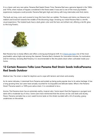 Typical Mistaken Beliefs About Sensational Effects Of Panama Red Strain Seeds
