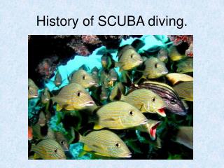 History of SCUBA diving.