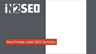 Best Private Label SEO Services - In2SEO