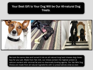 Your Best Gift to Your Dog Will be Our All-natural Dog Treats