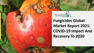 Fungicides Market Industry Outlook, Opportunities in Market And Expansion