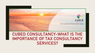 Cubed Consultancy-What is the Importance of Tax Consultancy Services