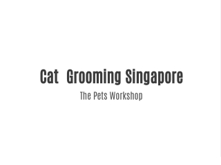 Cat Grooming Singapore