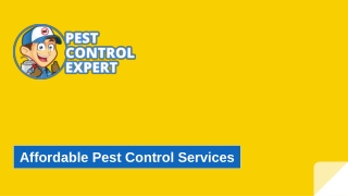 Affordable Pest Control Services - Pest Control Expert