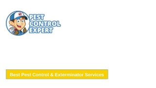 Best Pest Control & Exterminator Services - Pest Control Expert