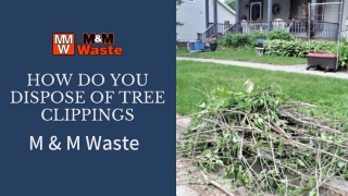 How Do You Dispose Of Tree Clippings