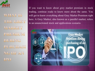 What is the Grey Market Premium during purchasing of an IPO