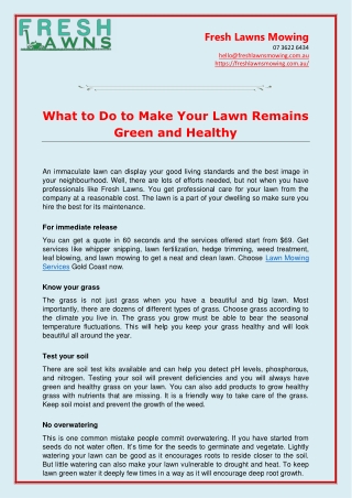 What to Do to Make Your Lawn Remains Green and Healthy