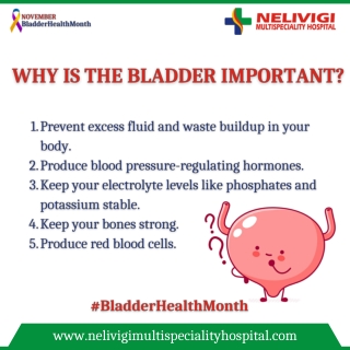 Bladder Importance | Best Urology Hospitals in Bangalore | Nelivigi Urology