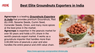 Best Elite Groundnuts Exporters in India