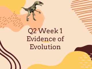 Evidence of Evolution 4 Types
