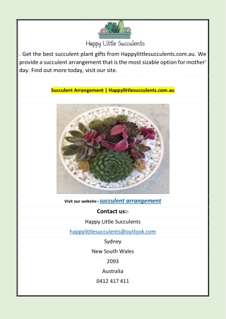 Succulent Arrangement | Happylittlesucculents.com.au