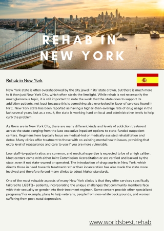 Rehabs in New York