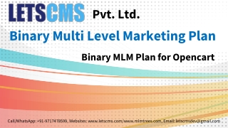 Binary MLM Plan | Binary Multi-Level Marketing Plan ecommerce
