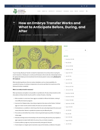 How an Embryo Transfer Works and What to Anticipate Before, During, and After