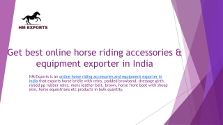 Horse riding accessories & equipment exporter in India