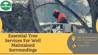 Essential Tree Services For Well Maintained Surroundings