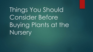 Things You Should Consider Before Buying Plants at the Nursery