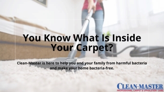 You Know What Is Inside Your Carpet